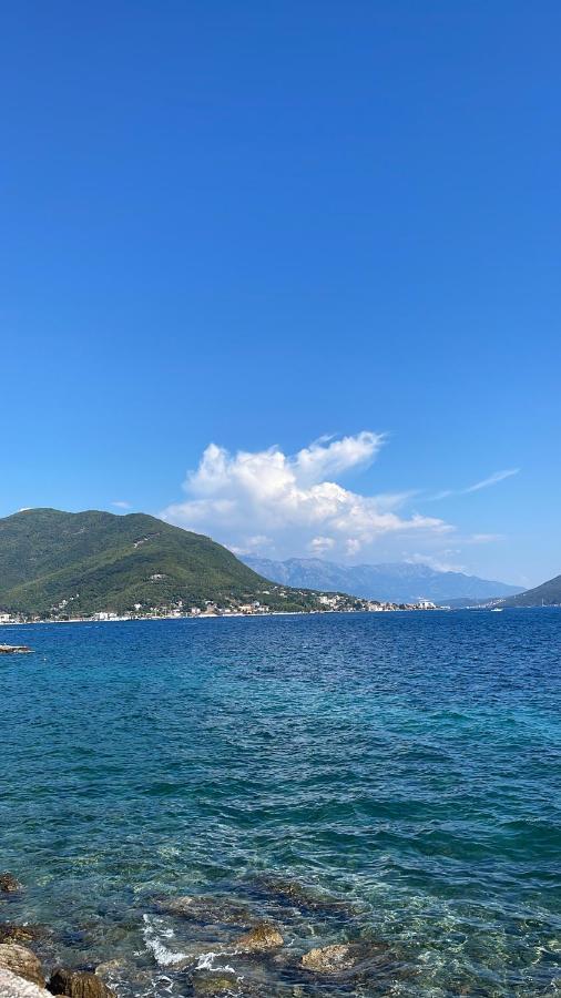 Apartmani Cirovic Luxury ヘルツェグ・ノヴィ エクステリア 写真